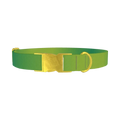 Green Gradient Dog Collar - metal gold