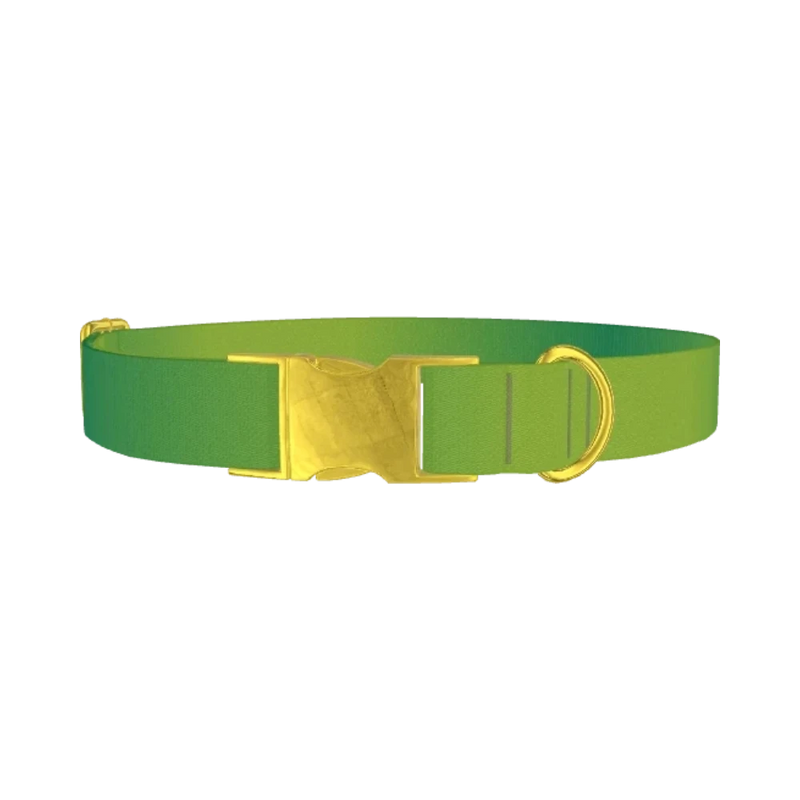 Green Gradient Dog Collar - metal gold