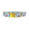 Dinosaur Adventure Dog Collar - metal gold