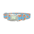 Citrus Slice Dog Collar - plastic silver