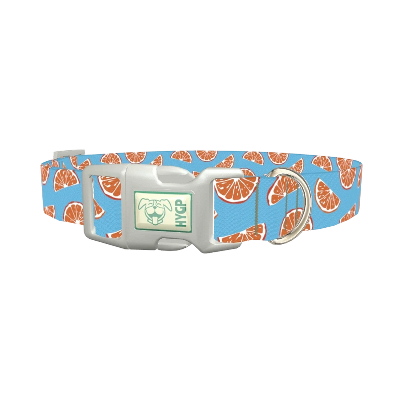 Citrus Slice Dog Collar - plastic silver