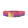 Gradient Pink Blue Dog Collar - metal rose gold