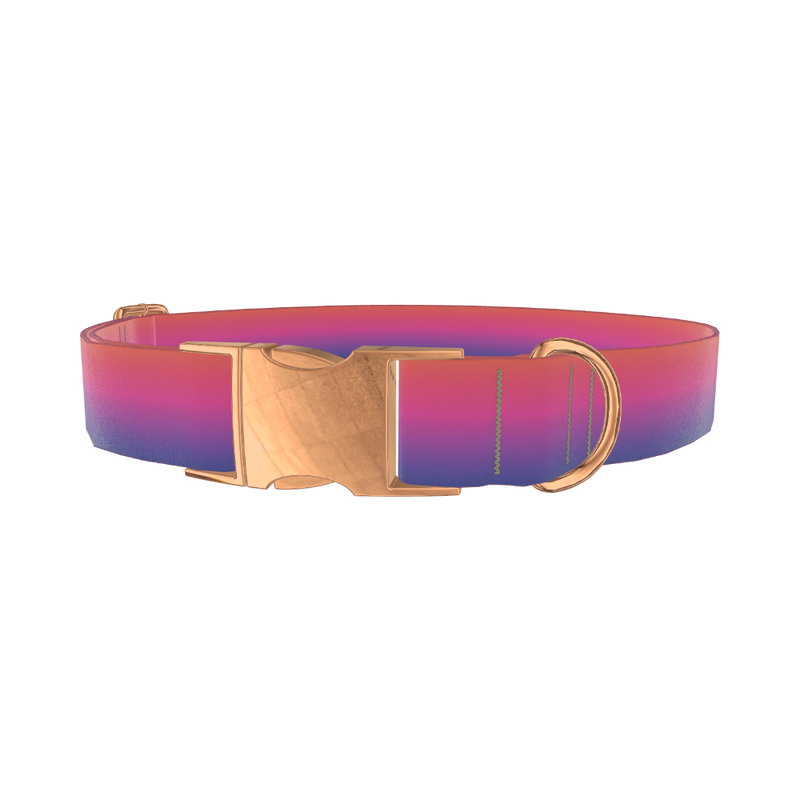 Gradient Pink Blue Dog Collar - metal rose gold