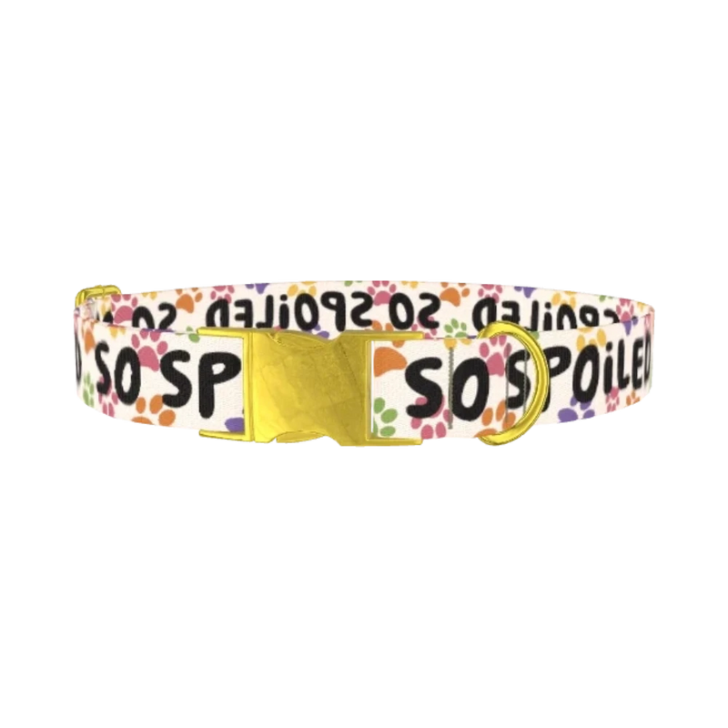 Paw Print Pattern Dog Collar - metal gold