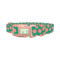 Christmas Candy Dog Collar - plastic rose gold