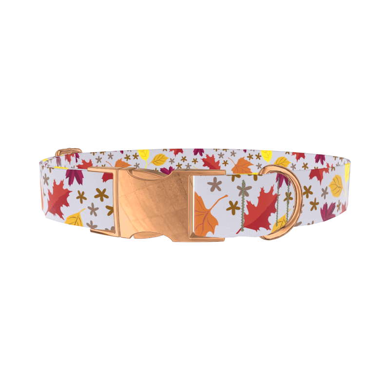 Colorful Fall Leaf Dog Collar - metal rose gold