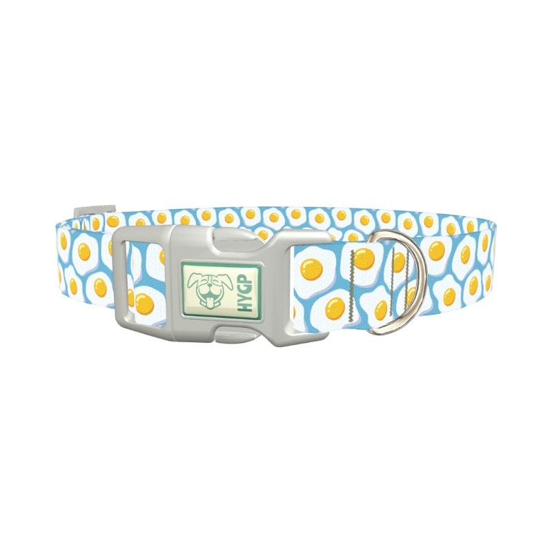 Egg Pattern Dog Collar - plastic silver