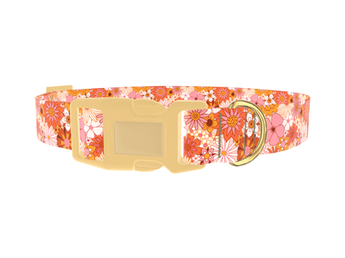 Retro Floral Burst Dog Collar