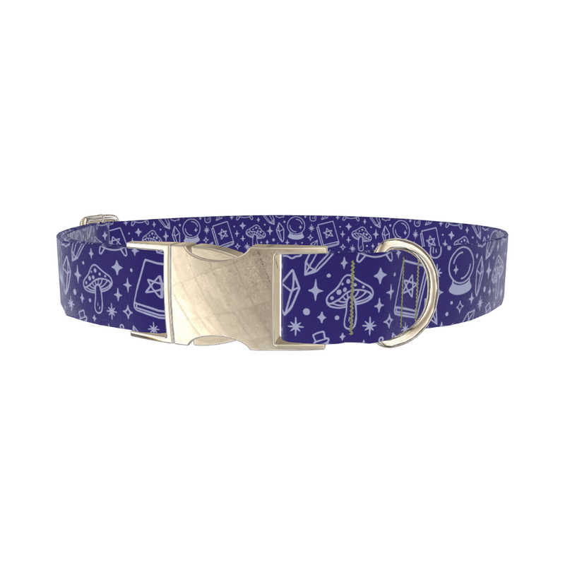 Mystical Witchcraft Dog Collar - metal gold