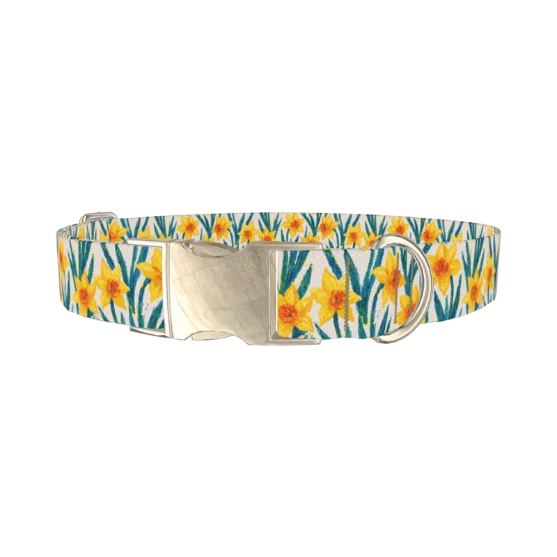Yellow Daffodil Dog Collar - metal silver