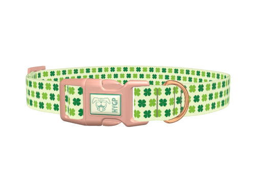 Four Leaf Clover Dog Collar