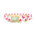 Valentine Heart Ribbon Dog Collar - plastic gold
