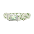 Green Cactus Landscape Dog Collar - plastic silver