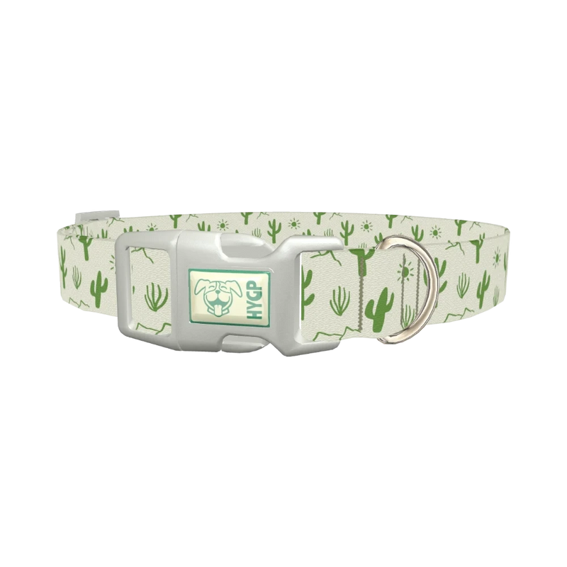 Green Cactus Landscape Dog Collar - plastic silver