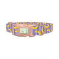 Banana Stripe Dog Collar - plastic rose gold