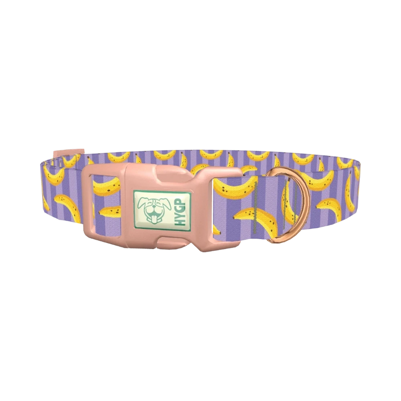 Banana Stripe Dog Collar - plastic rose gold