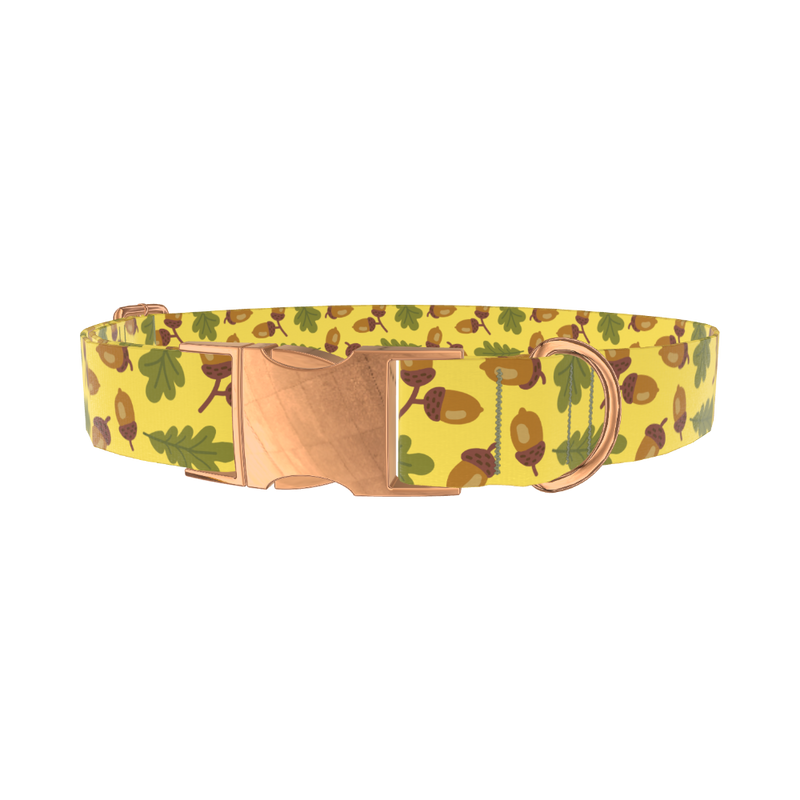 Fall Acorn Dog Collar - metal rose gold
