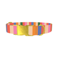 Colorful Stripe Pattern Dog Collar - metal gold
