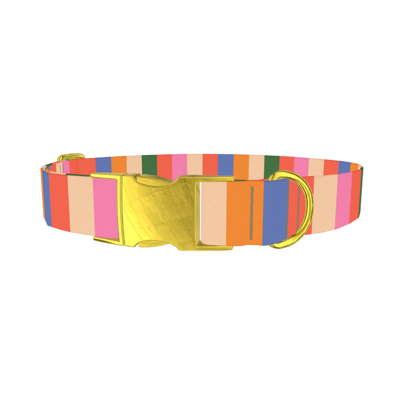 Colorful Stripe Pattern Dog Collar - metal gold