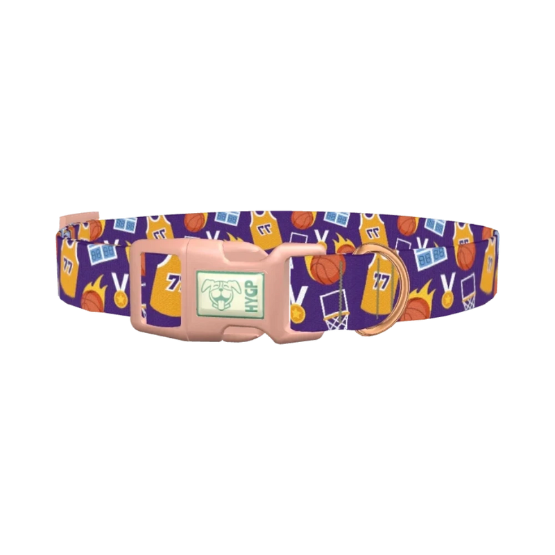 Basketball Sports Dog Collar - plastic rose gold
