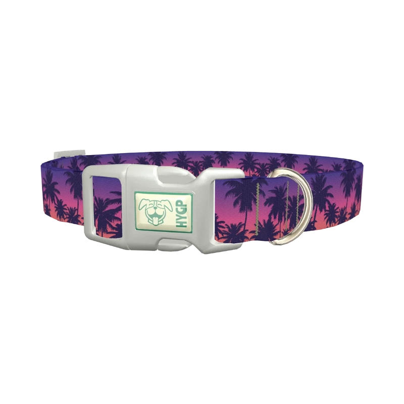 Tropical Sunset Dog Collar - plastic silver