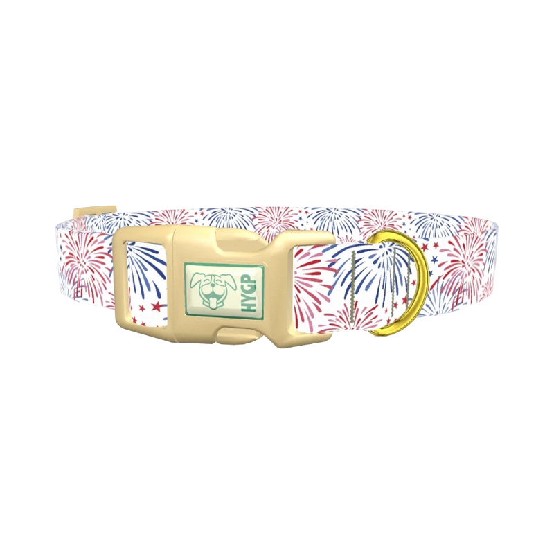 Fireworks Starburst Dog Collar - plastic gold