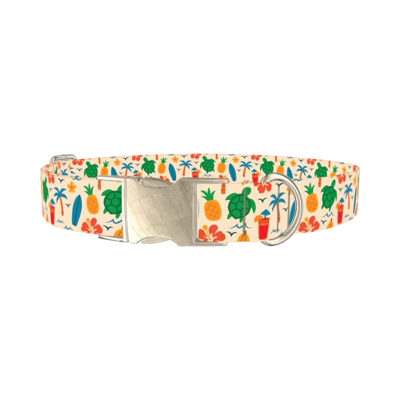 Beach Turtle Dog Collar - metal silver