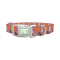 Poodle Dog Collar - plastic silver