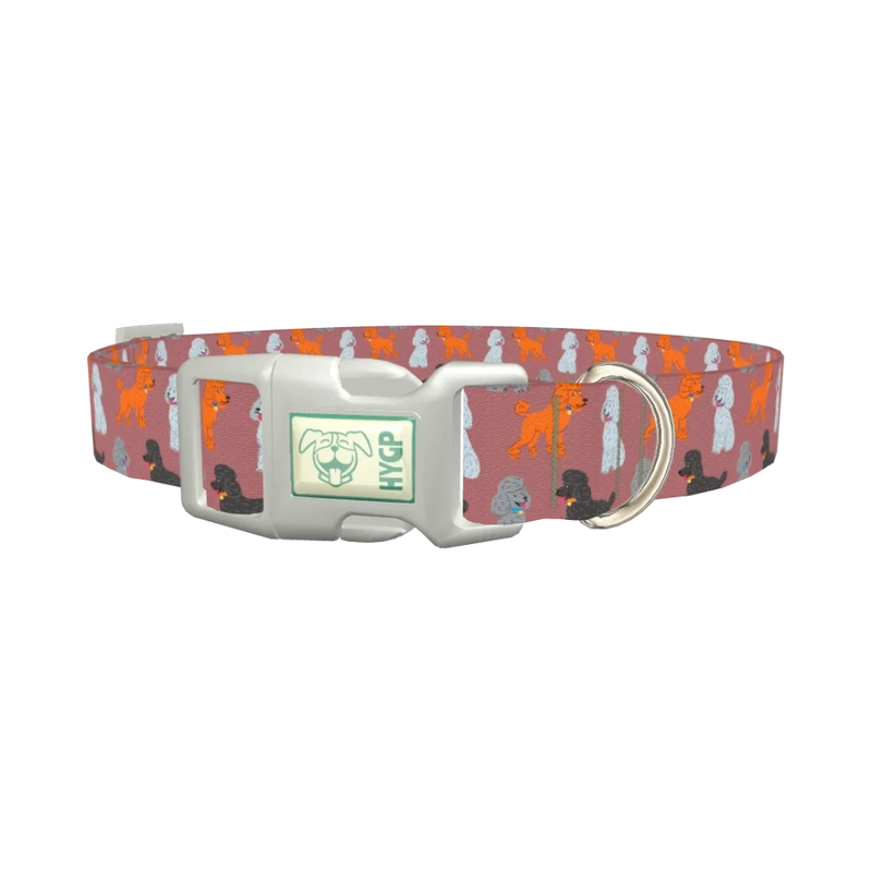 Poodle Dog Collar - plastic silver