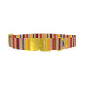 Hexagonal Stripe Dog Collar - plastic rose gold