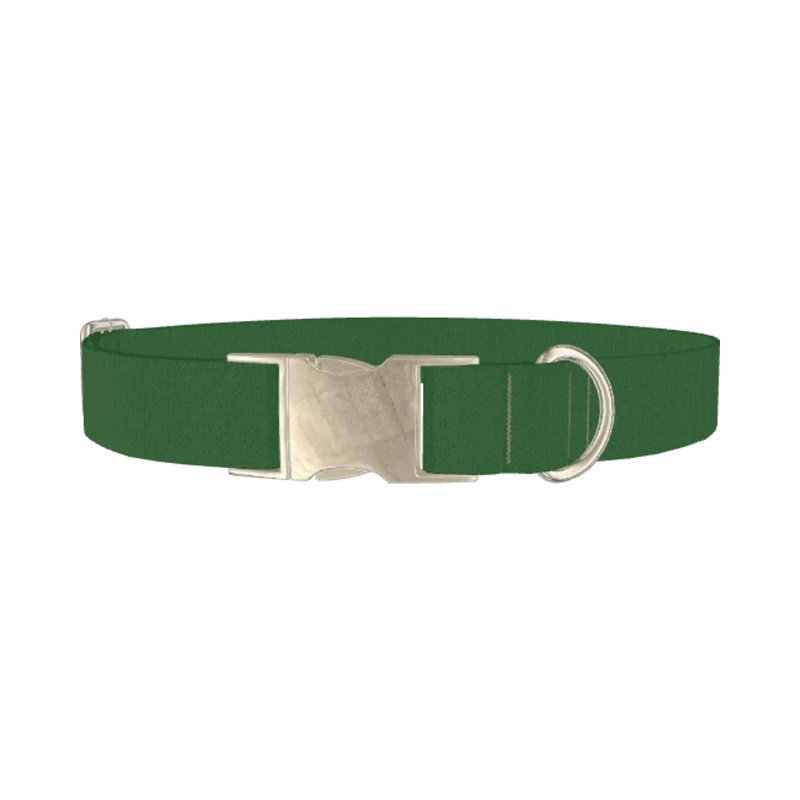 Arcala Green Color Dog Collar - metal silver