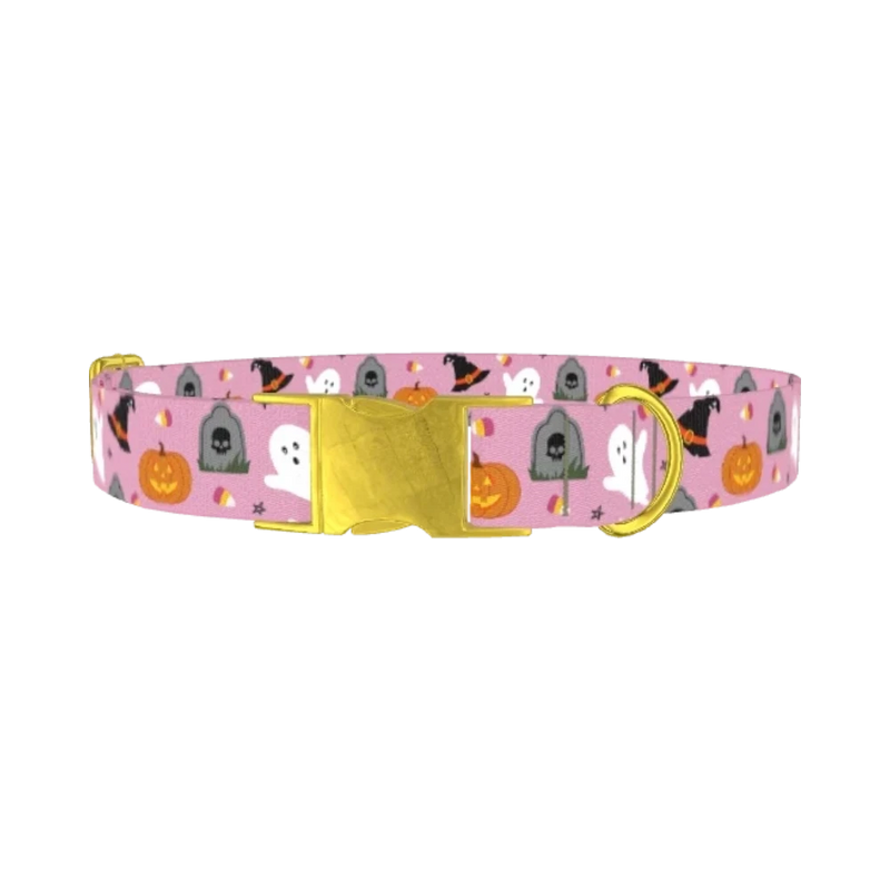 Halloween Trick or Treat Dog Collar - metal gold