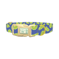 Lime Fruit Dog Collar - plastic gold