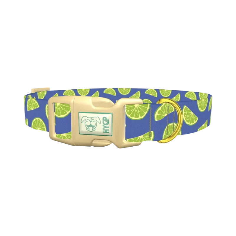 Lime Fruit Dog Collar - plastic gold