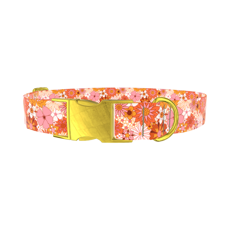 Retro Floral Burst Dog Collar - metal gold