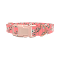 Pink Rosehip Dog Collar - plastic silver