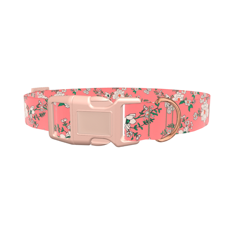 Pink Rosehip Dog Collar - plastic silver