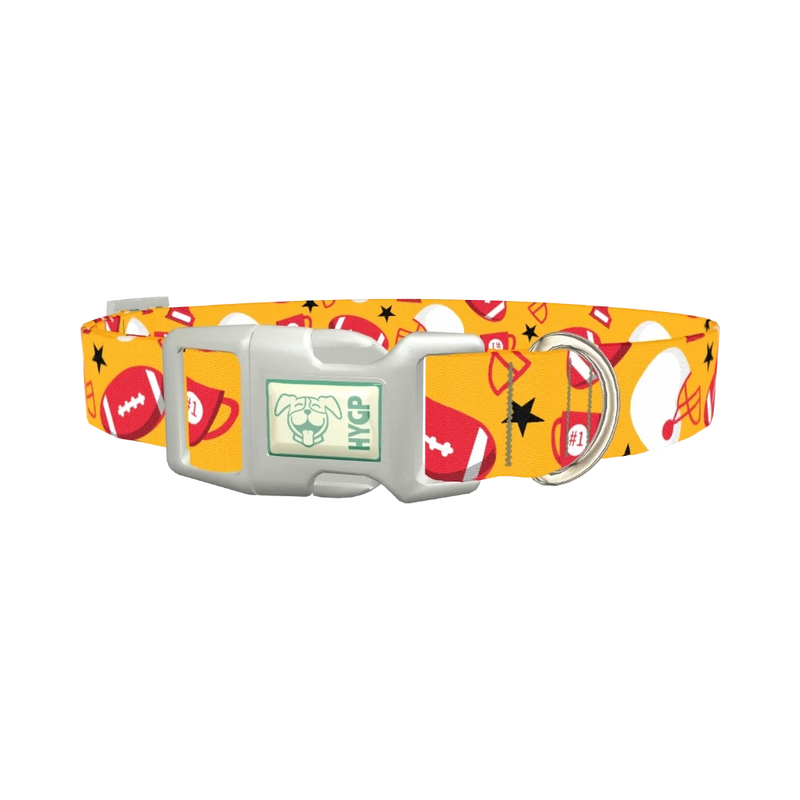 Football Trophy Dog Collar - plastic silver