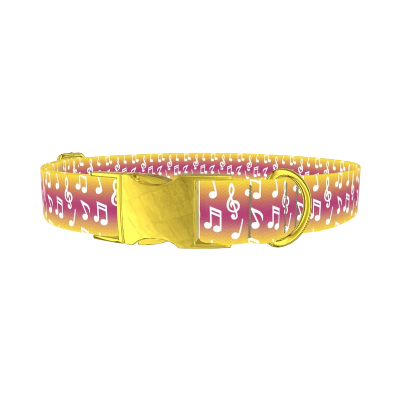 Gradient Musical Note Dog Collar - metal gold