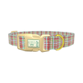 Colorful Plaid Dog Collar - plastic gold