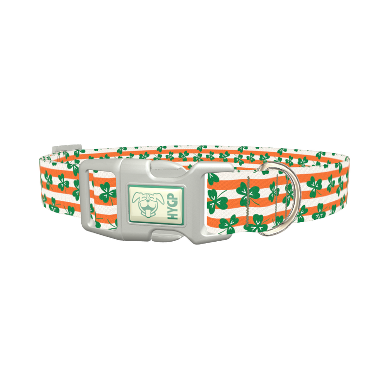 St. Patrick's Clover Stripe Dog Collar - plastic silver