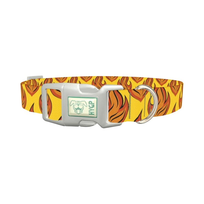 Flame Burst Dog Collar - plastic silver