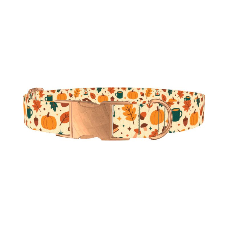 Cozy Fall Dog Collar - metal rose gold
