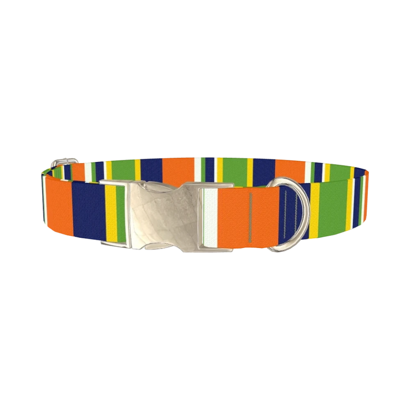 Striped Dog Collar - metal silver