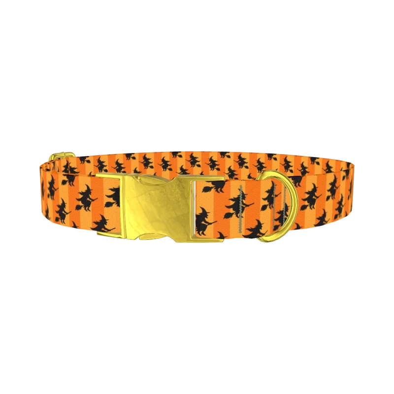 Halloween Witch Stripes Dog Collar - metal gold