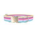 Pastel Striped Dog Collar - metal silver