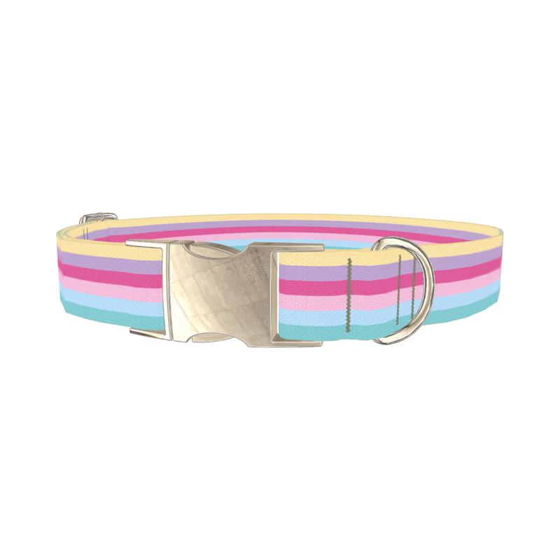 Pastel Striped Dog Collar - metal silver