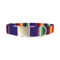 Colorful Stripes Dog Collar - metal silver
