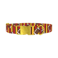 Football Stripe Dog Collar - metal gold