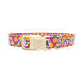 Tropical Summer Dog Collar - plastic silver